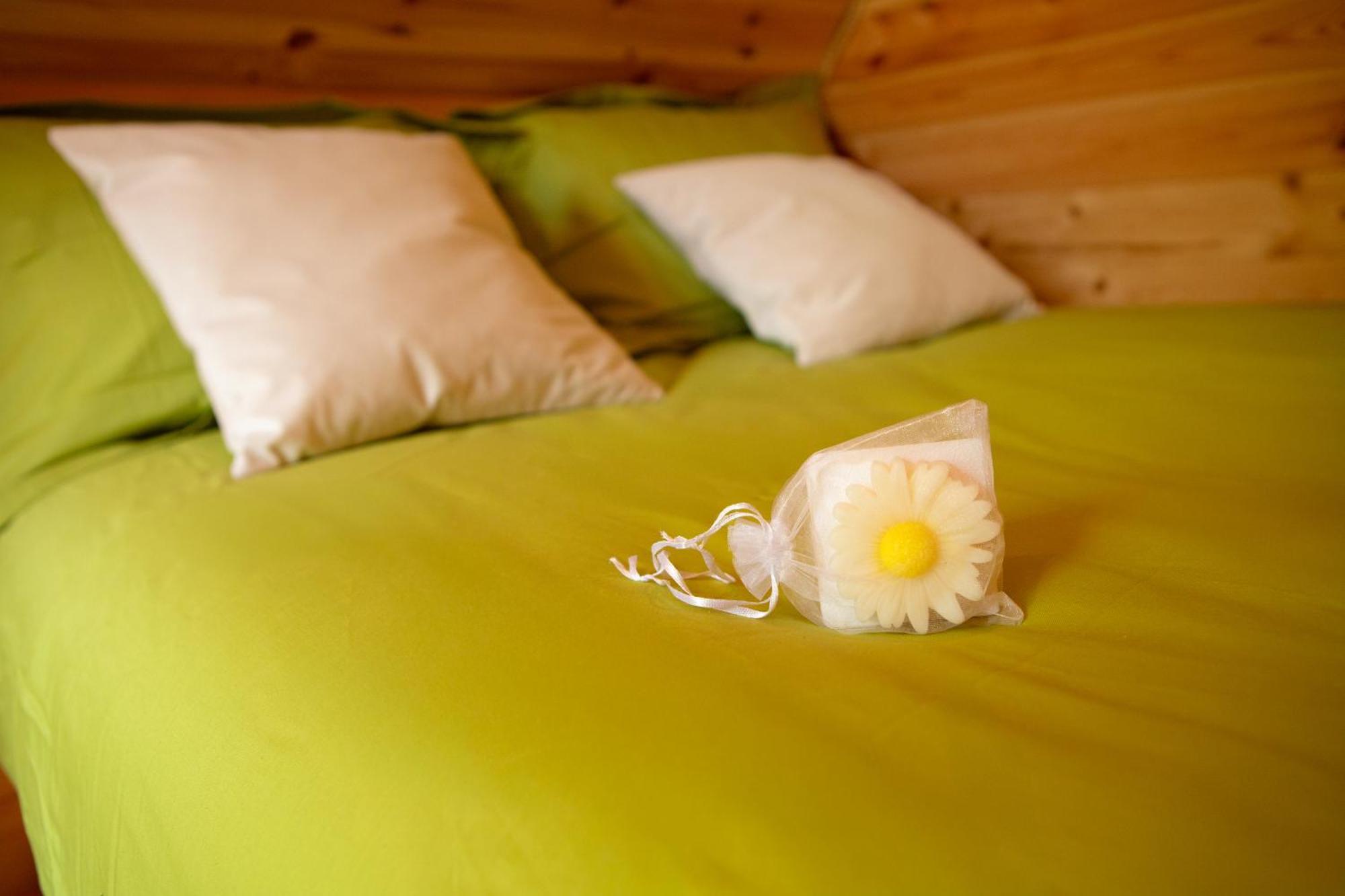 Au Pied Du Frene Villa Herzeele Екстериор снимка