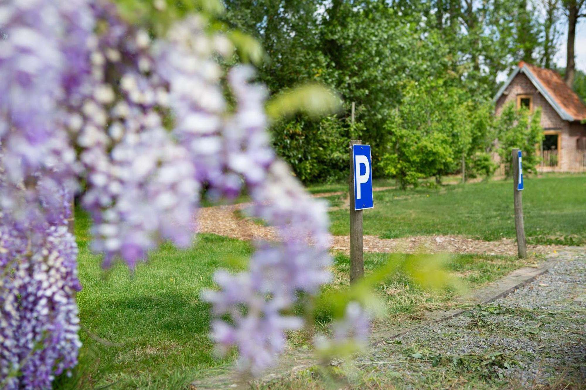 Au Pied Du Frene Villa Herzeele Екстериор снимка
